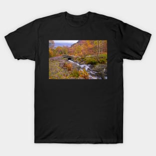 Autumn at Ashness Bridge Lake District T-Shirt